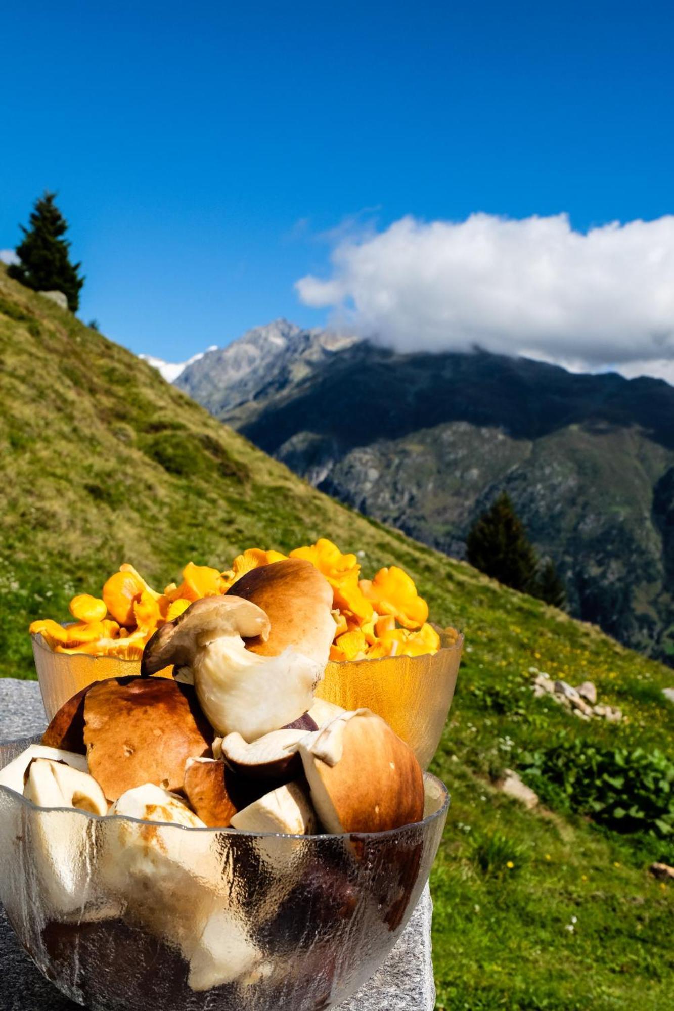 Villa Alphuette Bielerchaeller Fiesch Esterno foto