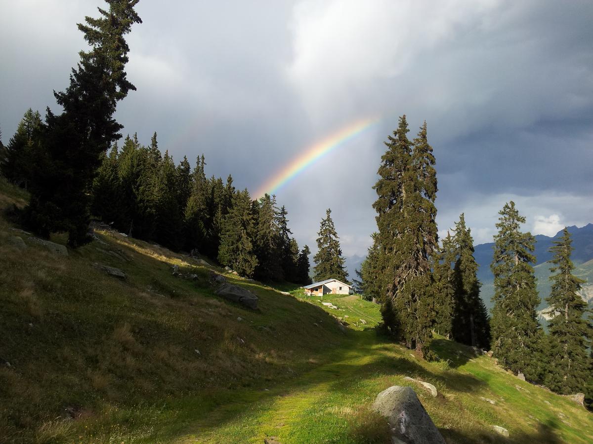 Villa Alphuette Bielerchaeller Fiesch Esterno foto