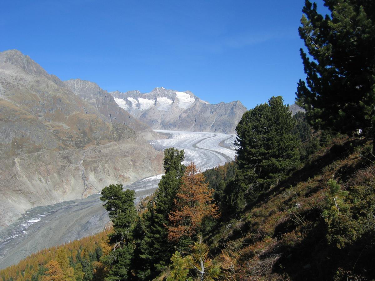 Villa Alphuette Bielerchaeller Fiesch Esterno foto